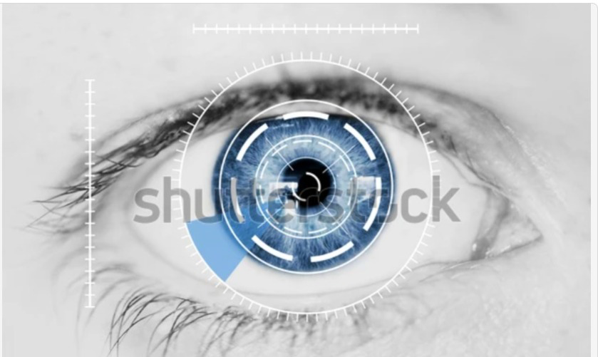 Background Verification Services in Coimbatore